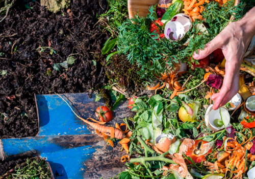Organic Waste Processing
